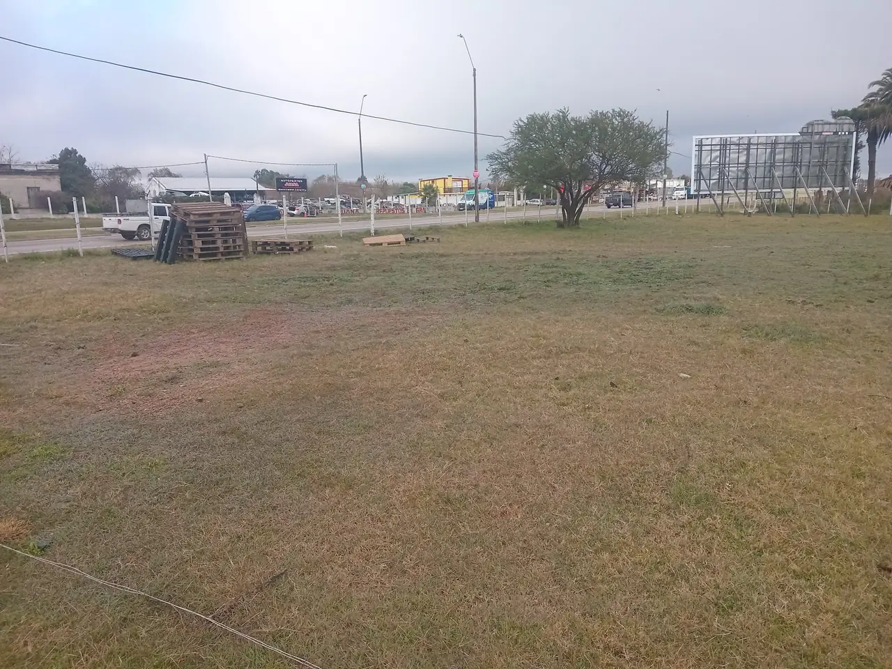 El terreno antes de empezar, con el replanteo marcado