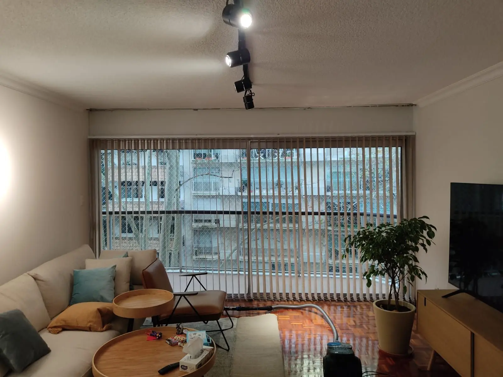 Living con bandas verticales y sillones junto al ventanal