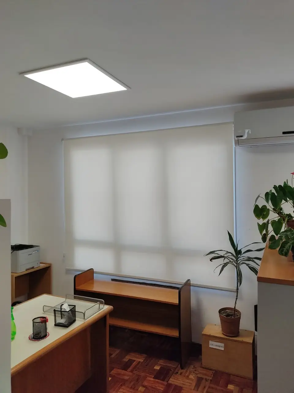 Oficina con cortinas roller screen y plantas junto al escritorio