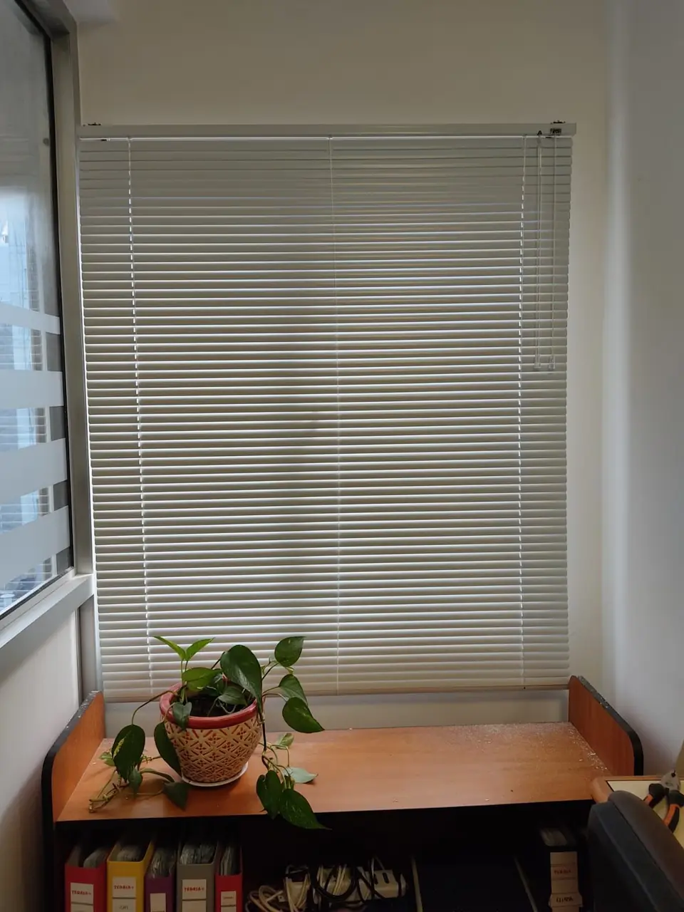 Veneciana de aluminio blanca en una ventana con plantas